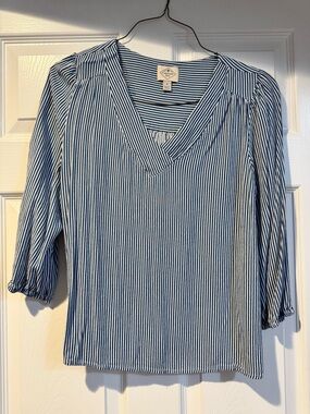 St. John's Bay Blue and White Striped V-Neck Blouse